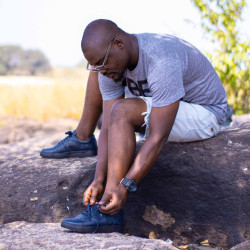 Sneakers Blue Shark