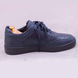 Sneakers Blue Shark